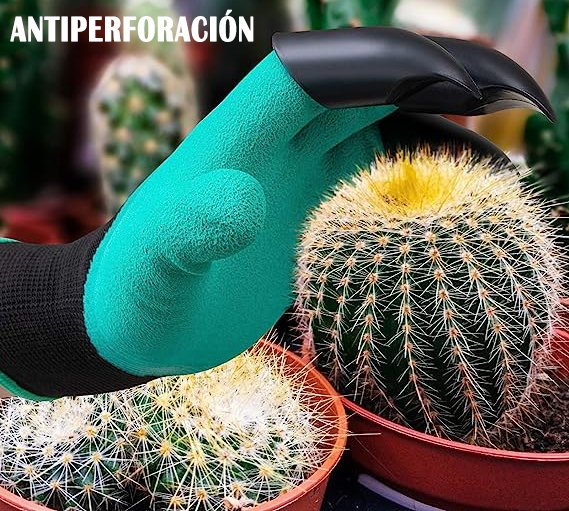 Imagen del beneficio 4